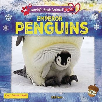Emperor Penguins