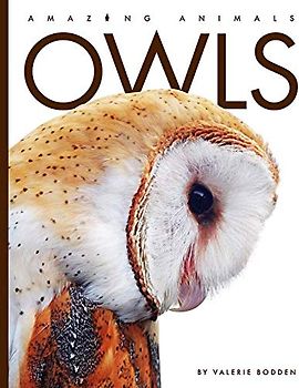 Owls (Amazing Animals)
