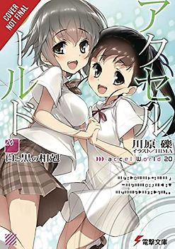 Accel World, Vol. 20 (light novel)