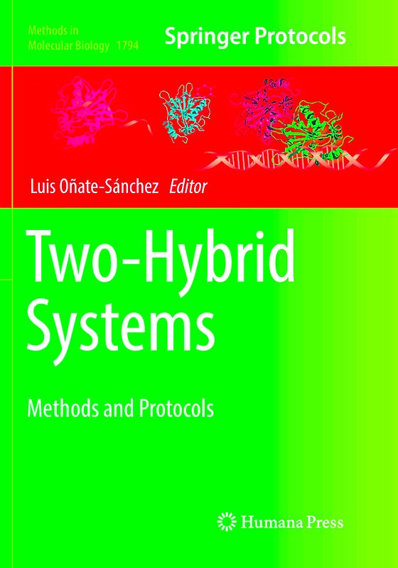 Two-Hybrid Systems