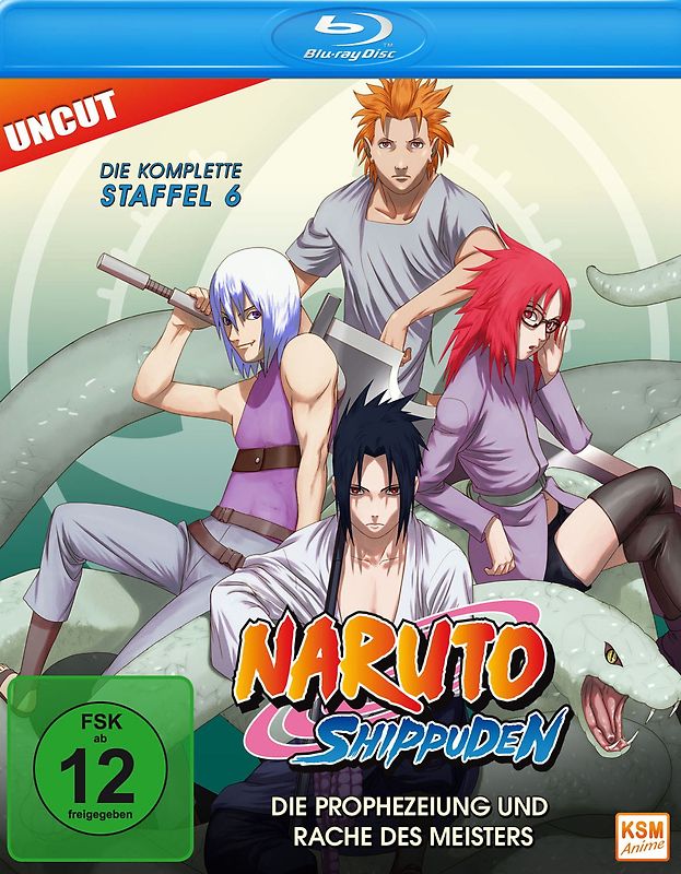 Naruto Shippuden - Staffel 6: Folge 333-363 - Die Prophezeiung und Rache des Meisters Blu-ray Disc