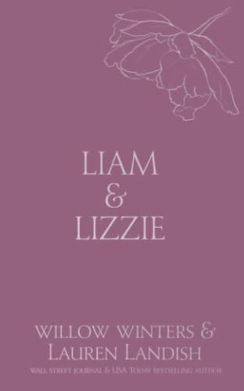 Liam & Lizzie: Tempted (Discreet Series, Band 12)