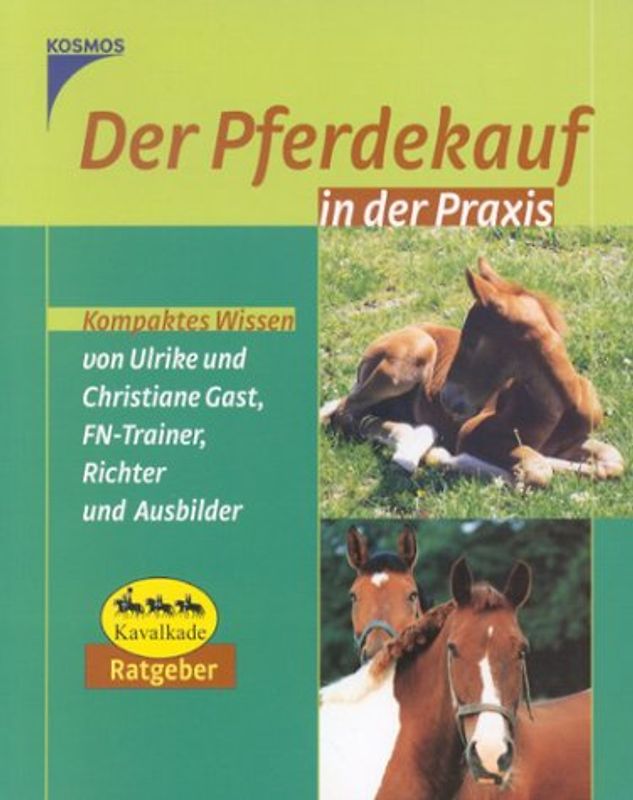 Der Pferdekauf. In der Praxis