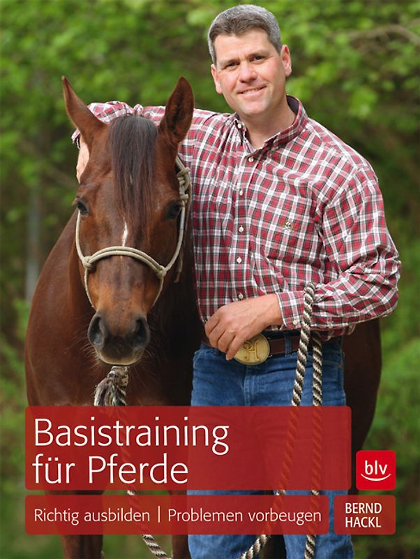 Basistraining für Pferde