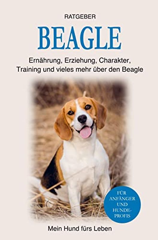 Beagle: Erziehung, Ernährung, Training, Charakter und einiges mehr über den Beagle Hund