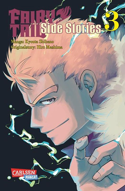 Fairy Tail Side Stories 3
