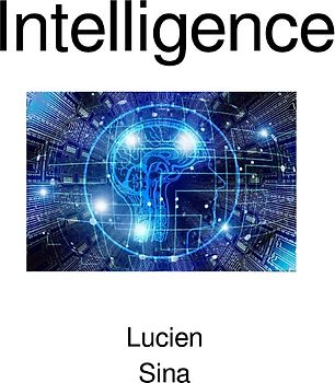 Intelligence