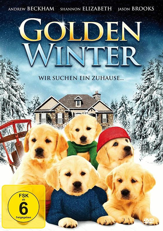 Golden Winter - Wir suchen ein Zuhause ... DVD