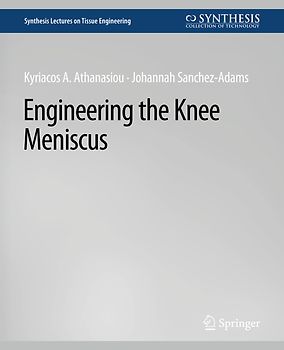Engineering the Knee Meniscus