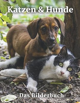 Katzen & Hunde: Das Bilderbuch von Katzen und Hunden für Senioren, Kinder, Alzheimer mit Demenz, (Fotobuch).