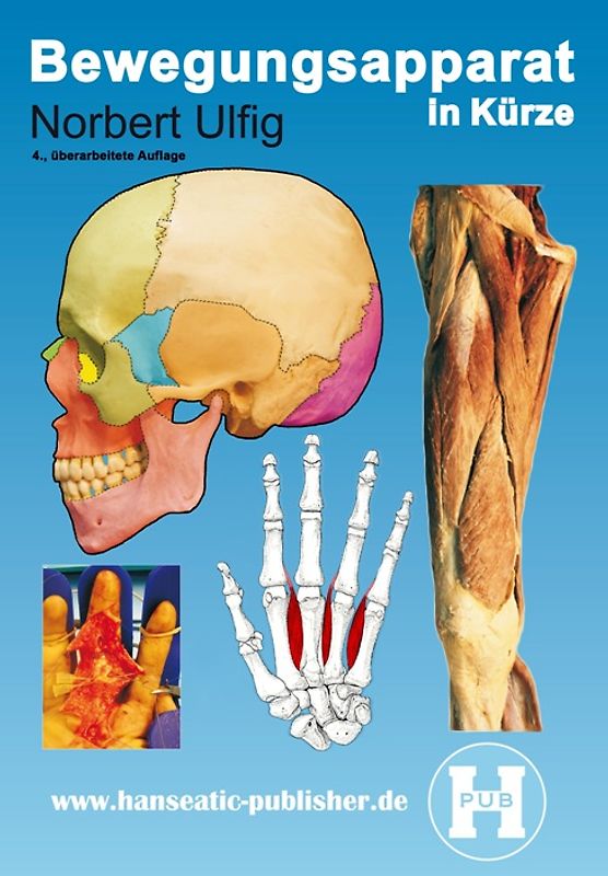 Bewegungsapparat in Kürze
