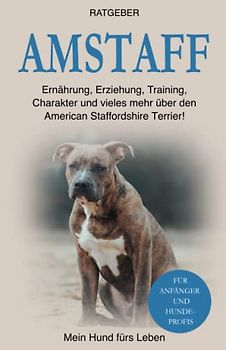 Amstaff: Ernährung, Erziehung, Pflege, Training und vieles mehr über den American Staffordshire Terrier!