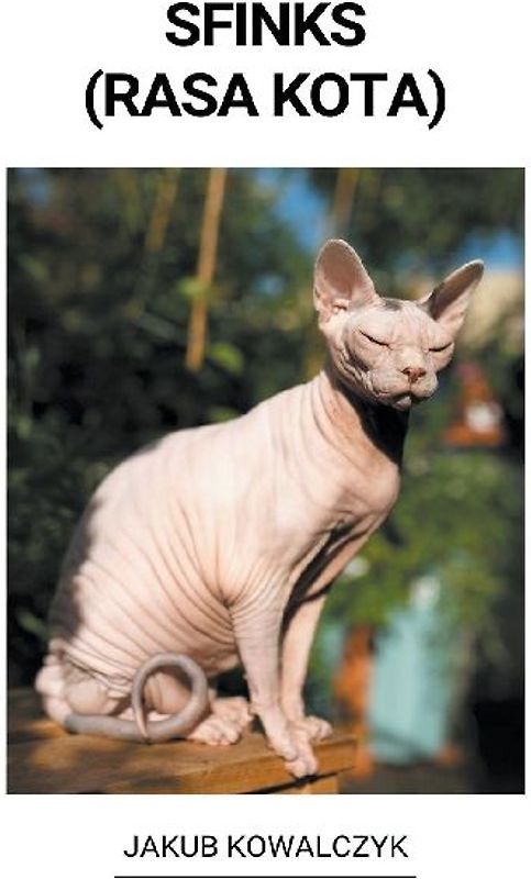 Sfinks (Rasa Kota)