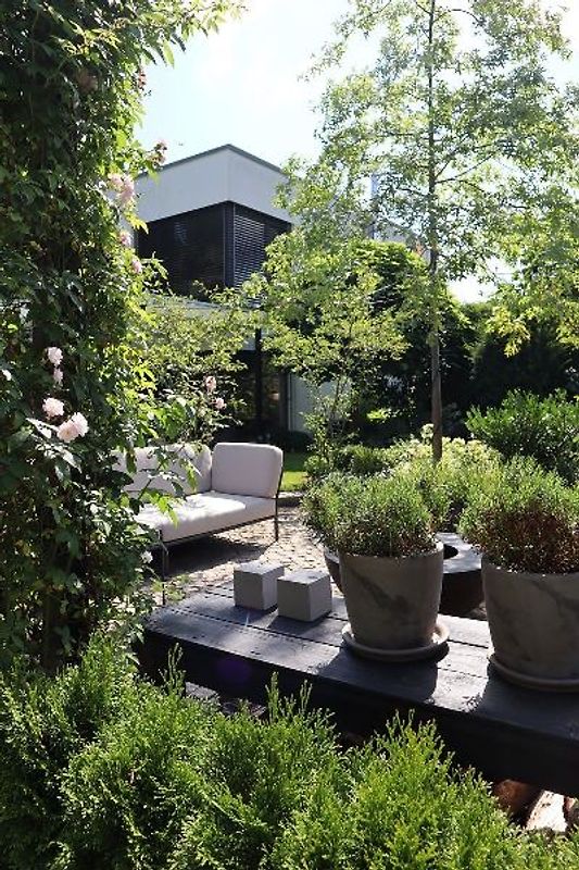 Zuhause im Skandi-Garten. Inspiration, Dekoideen und Rezepte von Januar bis Dezember