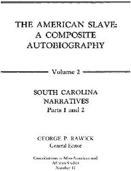 The American Slave
