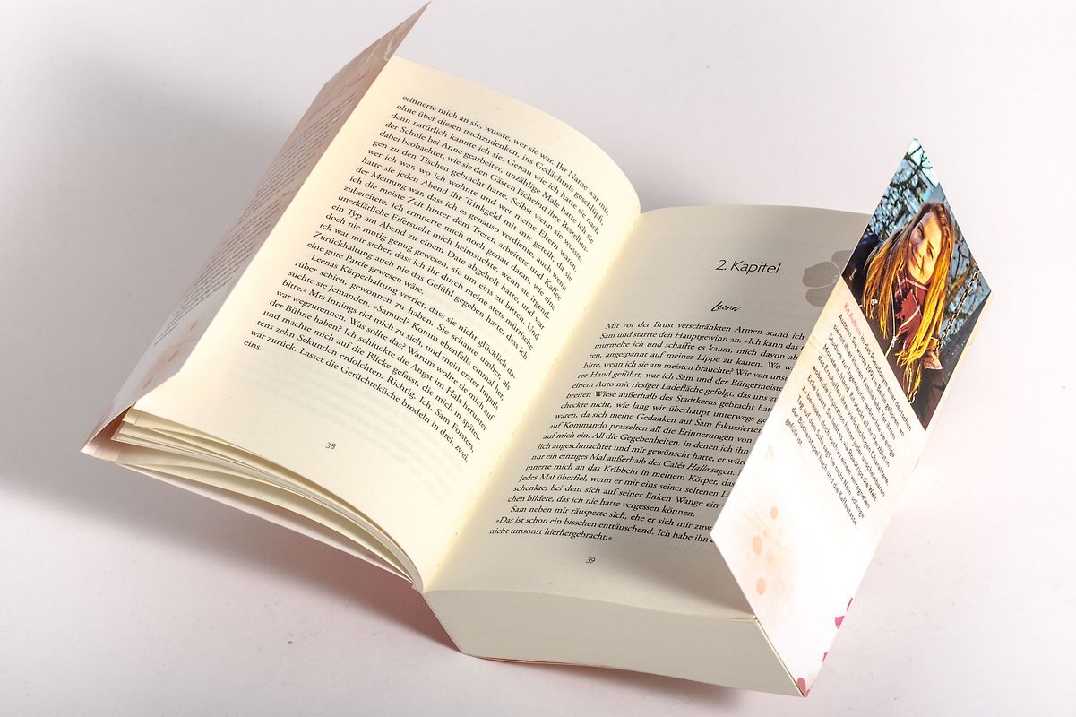 EMV-Störfestigkeits-Prüfungen. EMV-Prüfungen in Entwicklung und Qualitätssicherung nach neuesten Normen und Methoden