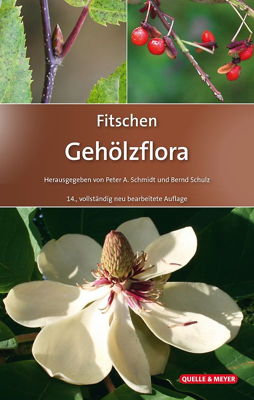 Fitschen – Gehölzflora