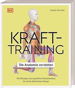 Krafttraining – Die Anatomie verstehen