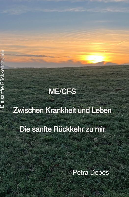 ME/CFS Zwischen Krankheit und Leben