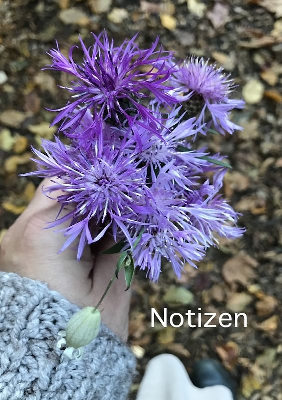 Notizen