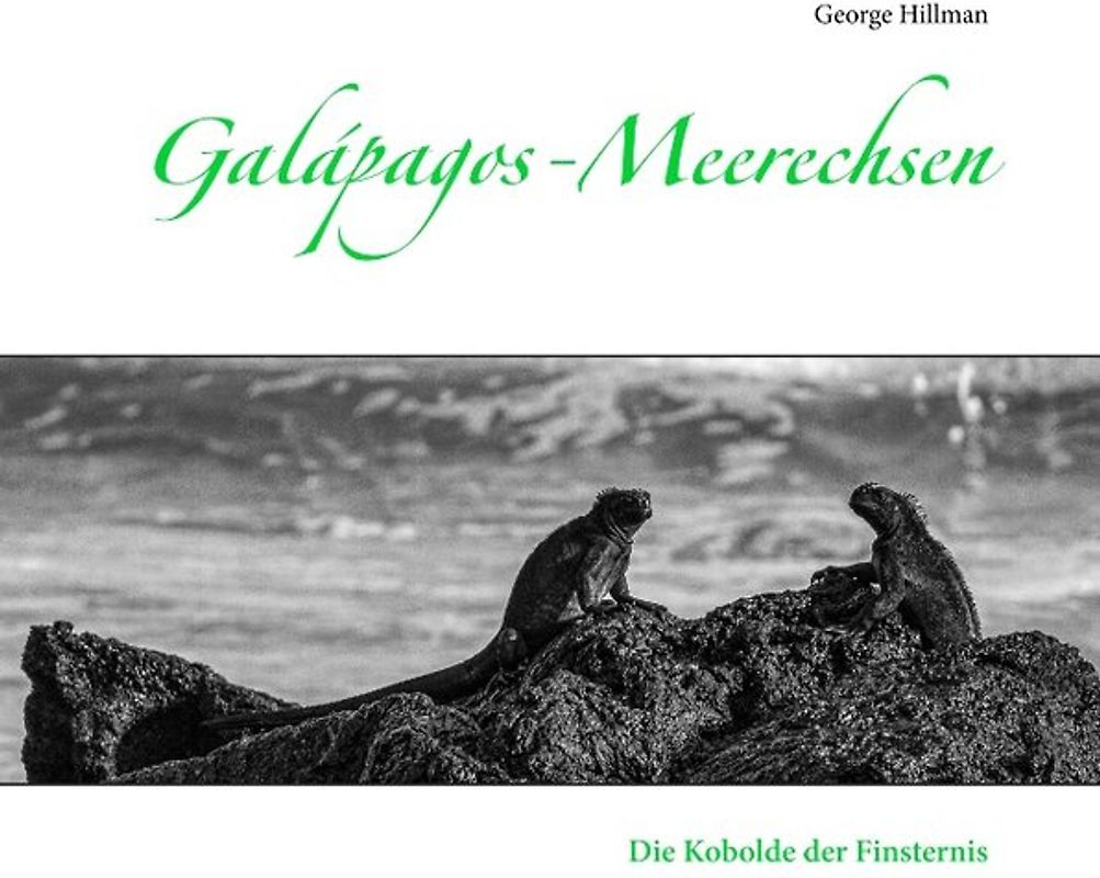 Galápagos-Meerechsen