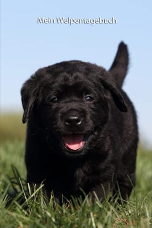 Mein Welpentagebuch: die ersten Monate mit meinem Labrador (Labrador Retriever in schwarz - Trainingstagebuch, Krankenakte, BARF Planer und Welpentagebuch)