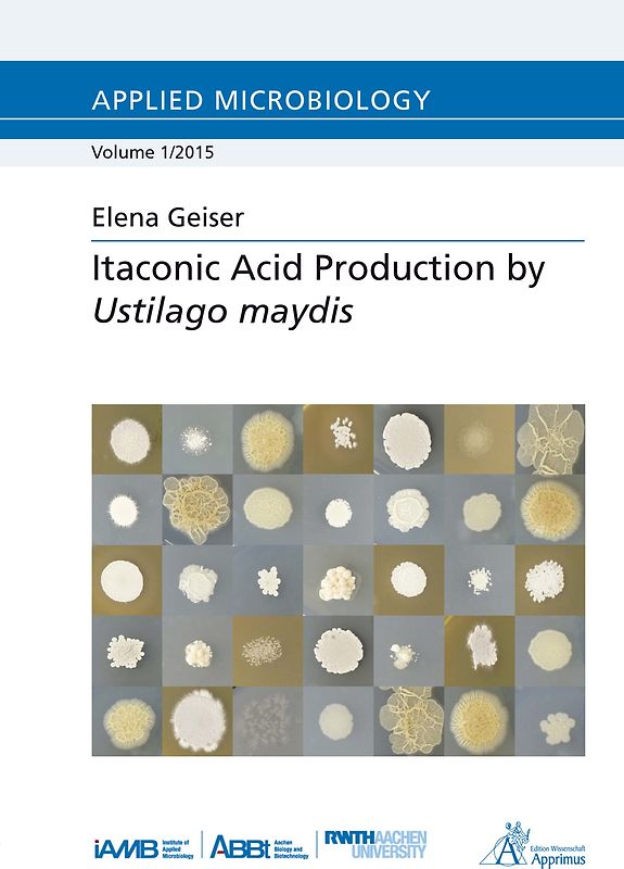 Itaconic Acid Production by Ustilago maydis