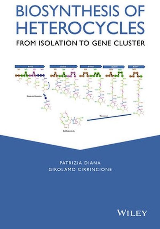 Biosynthesis of Heterocycles