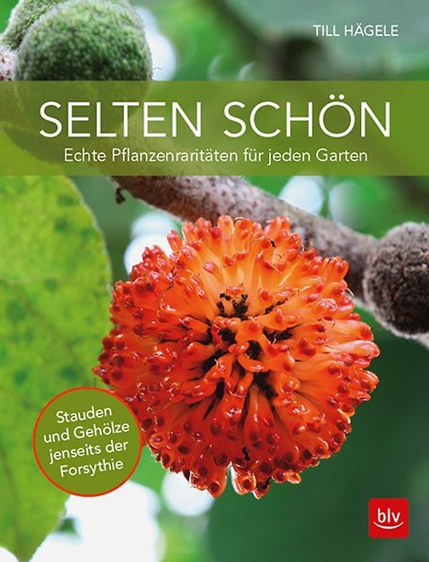 Selten schön