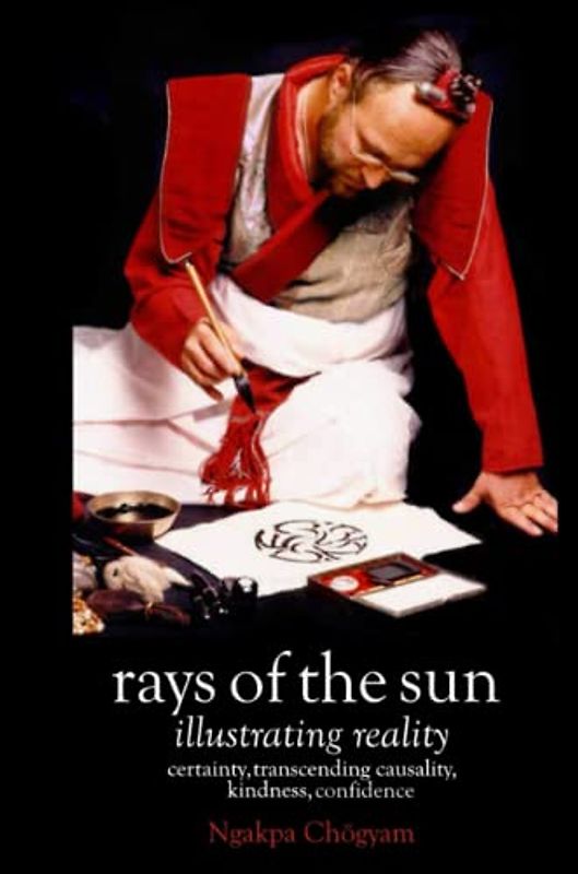 Rays of the Sun [paperback]: Illustrating Reality