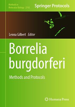 Borrelia burgdorferi