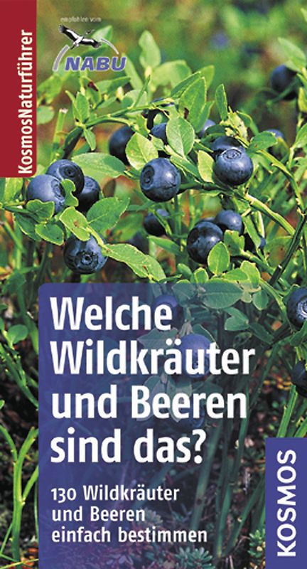 Welche Wildkräuter und Beeren sind das?