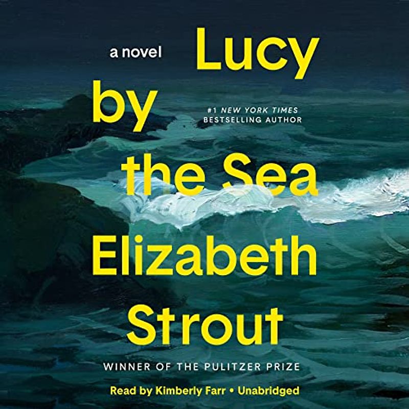 Lucy by the Sea: A Novel