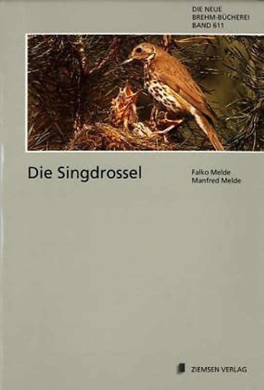 Die Singdrossel. Turdus philomelos