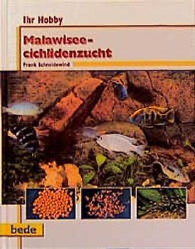 Ihr Hobby Malawiseecichlidenzucht