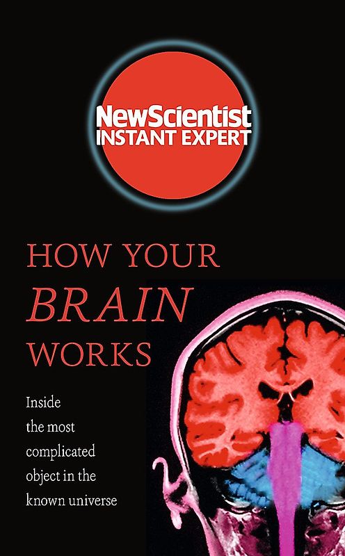 How Your Brain Works - Inside the most complicated object in the known universe