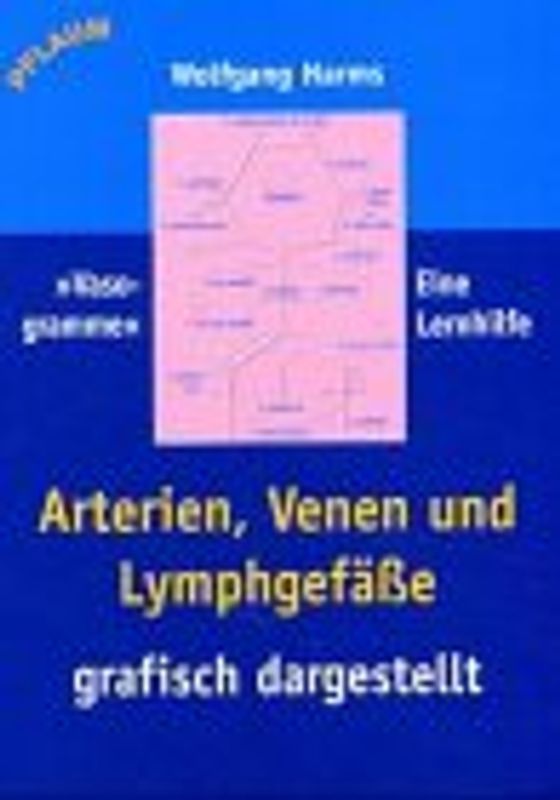 Arterien, Venen und Lymphgefässe grafisch dargestellt