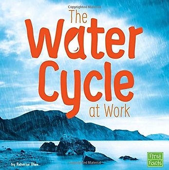 The Water Cycle at Work