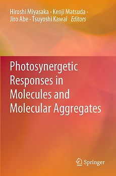 Photosynergetic Responses in Molecules and Molecular Aggregates
