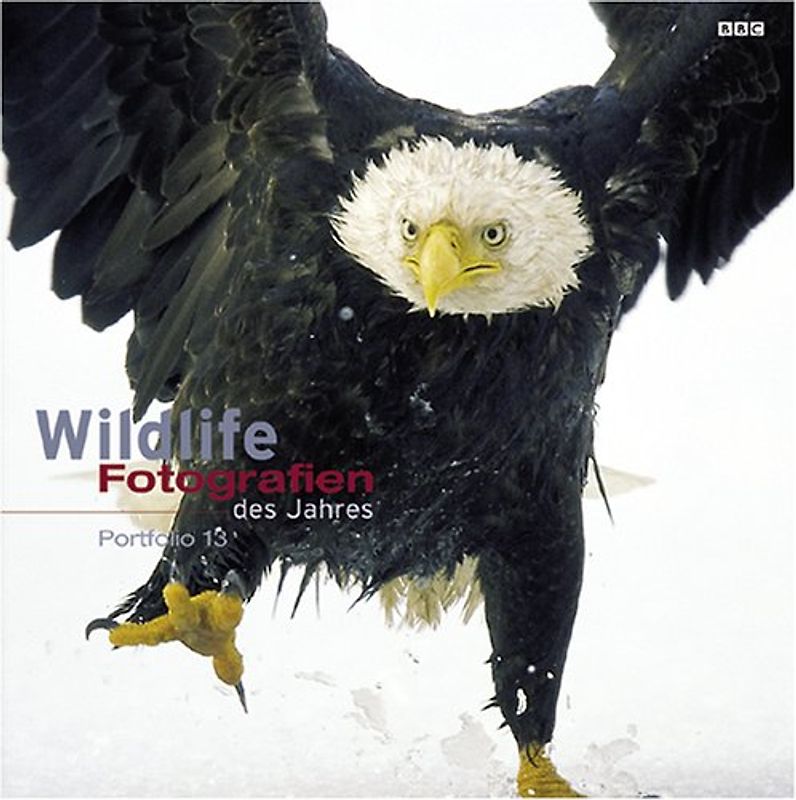 Wildlife Fotografien des Jahres 2003