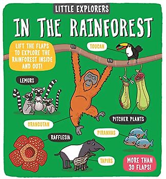 Little Explorers: In the Rainforest
