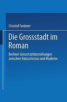 Die Großstadt im Roman