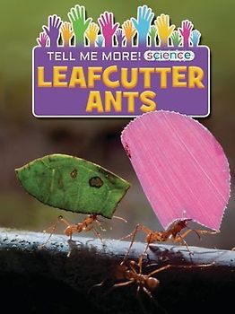 Leafcutter Ants