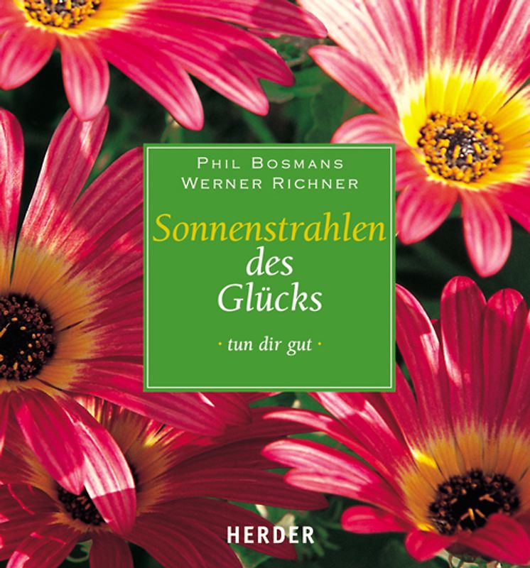 Sonnenstrahlen des Glücks