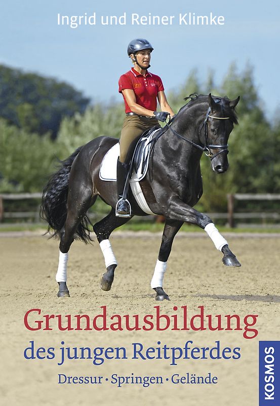 Grundausbildung des jungen Reitpferdes