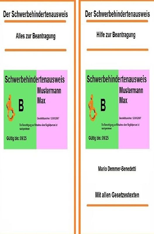 Der Schwerbehindertenausweis