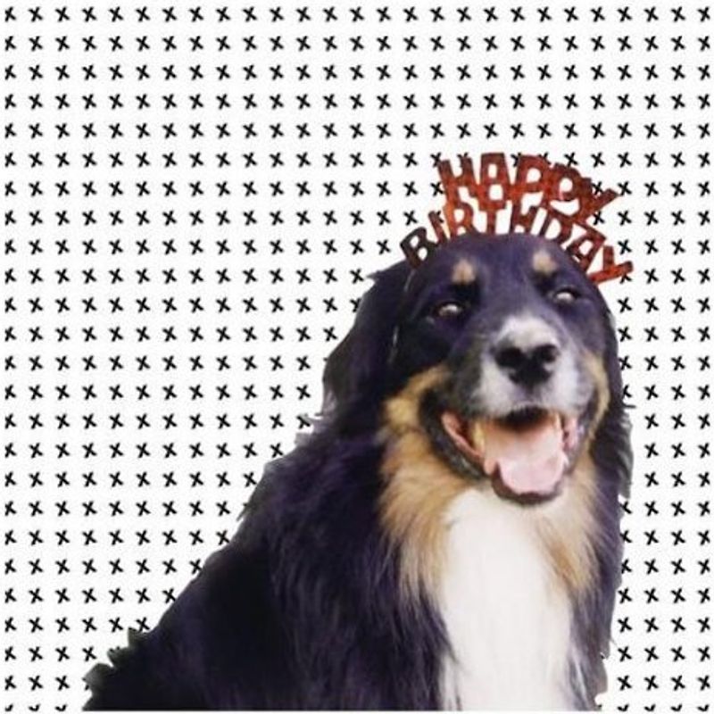 Various - Mollie'S Mix