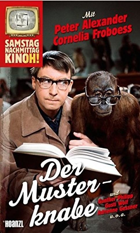 Samstag Nachmittag Kinoh!: Der Musterknabe DVD