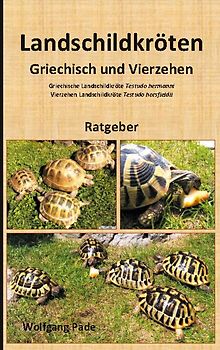 Landschildkröten Griechisch und Vierzehen