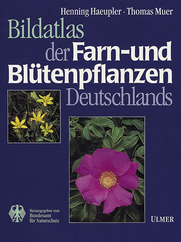 Bildatlas der Farn- und Blütenpflanzen Deutschlands